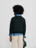 Silbon jersey kids dog verde - Imagen 4